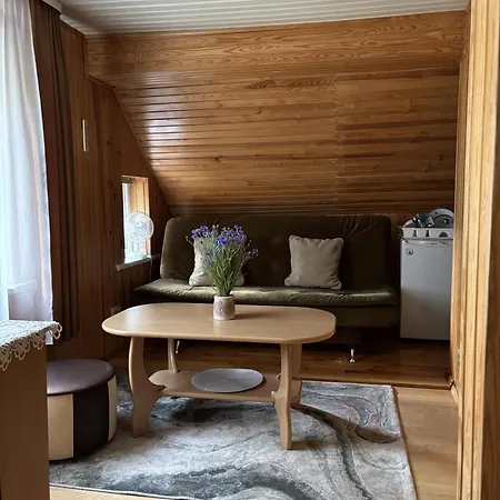 Апартаменты Grazinos Ir Vinco Liuksas